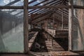 Old shabby broken window. Abandoned greenhouse. Dead plants. Dirty glass. Sunlight.