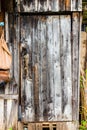 An old shabby building wall with a door made of wooden boards, copy space for text. Branches of bushes on the background Royalty Free Stock Photo