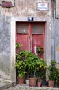 Old shabby door