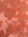 Old shabby pink play ground covering texture Royalty Free Stock Photo