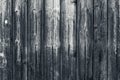 Old shabby wooden gray fence. Grey wood surface. Dilapidated gray wooden boards with hobnail. Grunge wood pattern texture backgrou Royalty Free Stock Photo