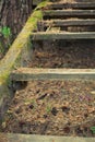 old wooden stairs in the forest Royalty Free Stock Photo