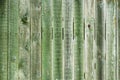 Old shabby wooden boards of fence with cracked green paint, cracks. Vintage background Royalty Free Stock Photo