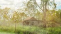 Old Shack Pictured Through Trees Royalty Free Stock Photo