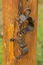 Old Shackles with metal chain hanging on the log Royalty Free Stock Photo