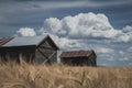 Old  Abandoned Farm Shacks in a Wheat Field Royalty Free Stock Photo