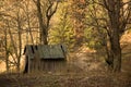 Old shed in the forest Royalty Free Stock Photo