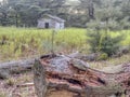 Old shed in forest Royalty Free Stock Photo