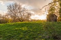 Old shed in a forest preserve Royalty Free Stock Photo