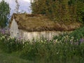 old shed with grass roof