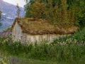 old shed with grass roof