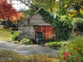 An old shed with schicht walls, wooden two-sided door partially covered by ivy plant