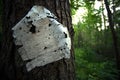 Old sheet of paper hanging on a tree trunk Royalty Free Stock Photo