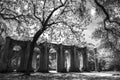 Old Sheldon Church Ruins Yemassee, South Carolina Royalty Free Stock Photo