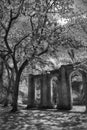 Old Sheldon Church Ruins Yemassee, South Carolina Royalty Free Stock Photo