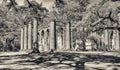 Old Sheldon Church ruins, South Carolina Royalty Free Stock Photo