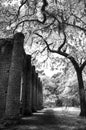 Old Sheldon Church Ruins Yemassee, South Carolina Royalty Free Stock Photo