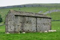 Old Shepherd`s Hut Sheltering Sheep, Meadows, Stone Walls and , Kettlewell, Wharfedale, Yorkshire Dales, England, UK