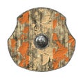 Old shield Royalty Free Stock Photo