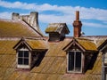 Old Shingle and Brick Roof, Chimney and Seagull Royalty Free Stock Photo