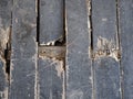 old ship deck wood planks background Royalty Free Stock Photo