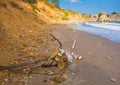 Anchor at Kilimli Bay Royalty Free Stock Photo