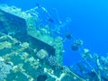 an old ship wreck underwater