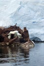 Shipwreck in Antarctica