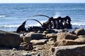 Old shipwreck on rock covered beach along the coast of Gros Morne