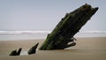 Old Shipwreck Sticking Out Of The Sand