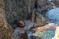 An old shipwrecked ship stands on the shore at the foot of a rocky cliff. Cape Briner. Primorsky Krai. Russia