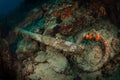 Old shipwrecks in the Caribbean