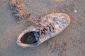 old shoe on the beach Royalty Free Stock Photo