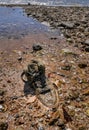Old shoe at beach Royalty Free Stock Photo