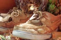 Old Shoes Royalty Free Stock Photo