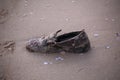 Old shoes on the beach Royalty Free Stock Photo