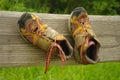 Old shoes on a board Royalty Free Stock Photo