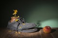 Old shoes and dried flowers Royalty Free Stock Photo