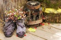 Old shoes with flowers on old wood background Royalty Free Stock Photo