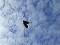 Old shoes hanging on a wire against a bright blue sky. Royalty Free Stock Photo
