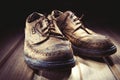 Old shoes Royalty Free Stock Photo