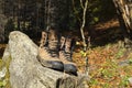 Old shoes on a rock with moss