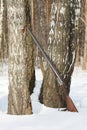 old shotgun near the birch tree in winter forest Royalty Free Stock Photo