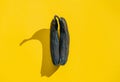 Old shriveled blackened bananas on yellow background. abstract image of the labia majora