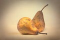 Old shriveled pears
