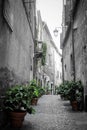 Old Side Street, Mediterranean Style, Bright Green Plant Pots