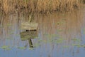 Old sign with illegible inscription in the lake