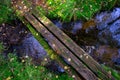 Old simple wooden bridge going over a creek in a forest Royalty Free Stock Photo