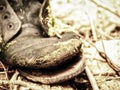 Old single boot Royalty Free Stock Photo