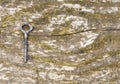 Old skeleton key Royalty Free Stock Photo